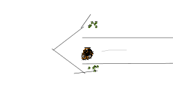 Heli challenge