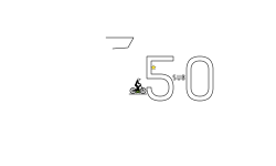50 SUBS