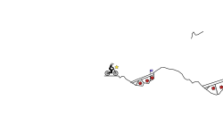 trail