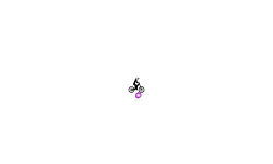 Auto Orb