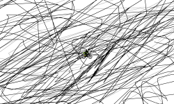 can you do this track? scrible