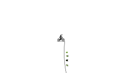 the fall