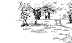 The Forest NTBF
