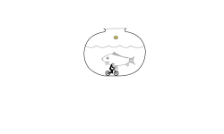 Goldfish