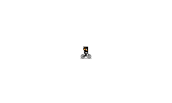 fly negro fly
