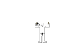 WAIT!! Lifter (weight lifter)