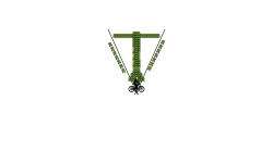 the V