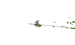 my first track