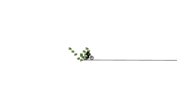 Spikes