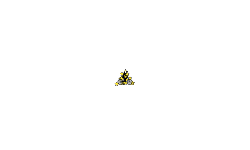 THE BEST LEVEL WORLDRIDE #2