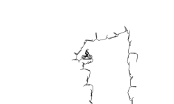 Cave Auto