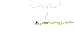 XP (test)