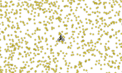 50000 Star Heli