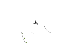 flips flips and more flips