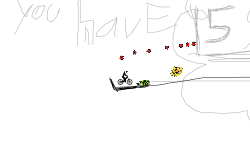 Helicopter Experience