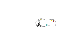 bean