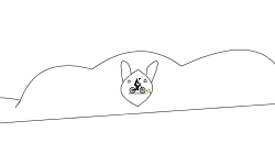 dog in a cloud