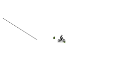 My first (actual) auto level