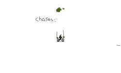 for chasere
