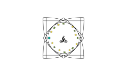 Spinny spinny