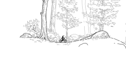 Woods