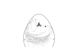 Egg