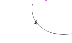 black lines