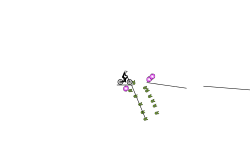 weird auto