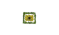 Like for 250 stars
