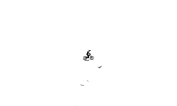 rough auto