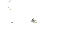 long auto #8
