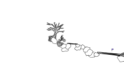Preview Of Nature Part 2