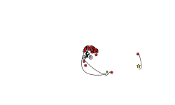 net can,t