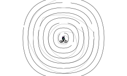 In a Spin