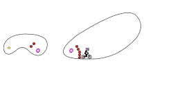 easy loopy thingy