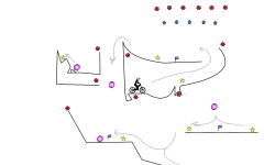Compact trial