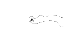 Cave wheelie