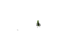 I'm falling