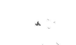 find the ends