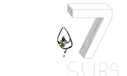 Auto 27