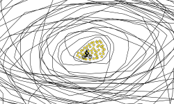 Huge Hairball