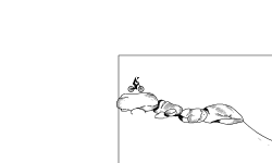 Biomes