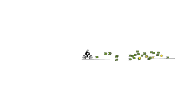 Fast