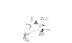 attack