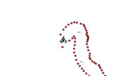 Trail+auto