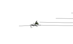 Plz slow