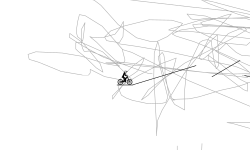 squiggle