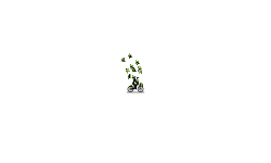 Trickshot
