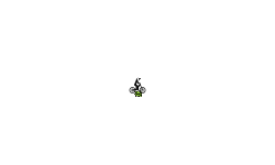 grav