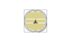 233 Stars in One Little Circle